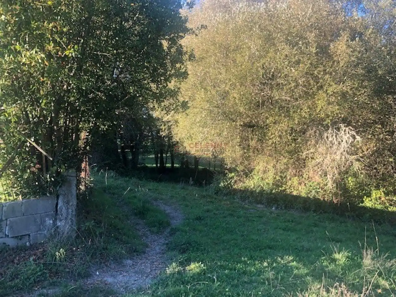 Terreni e lotti in vendita a Nogueira de Ramuín, imagen 10