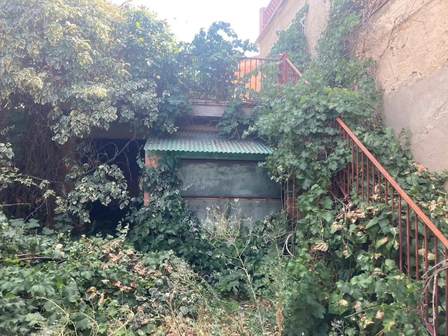 Vista exterior de Casa o chalet en venta en Bellcaire d'Urgell con Jardín privado
