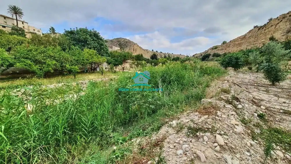Terreny rústic en venda a Camino Polígono 8 Parcela 200 EL BARRANC. JIJONA/XIXONA, imagen 18