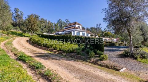 Foto 5 de Finca rústica en venta en La Puebla del Río, Sevilla