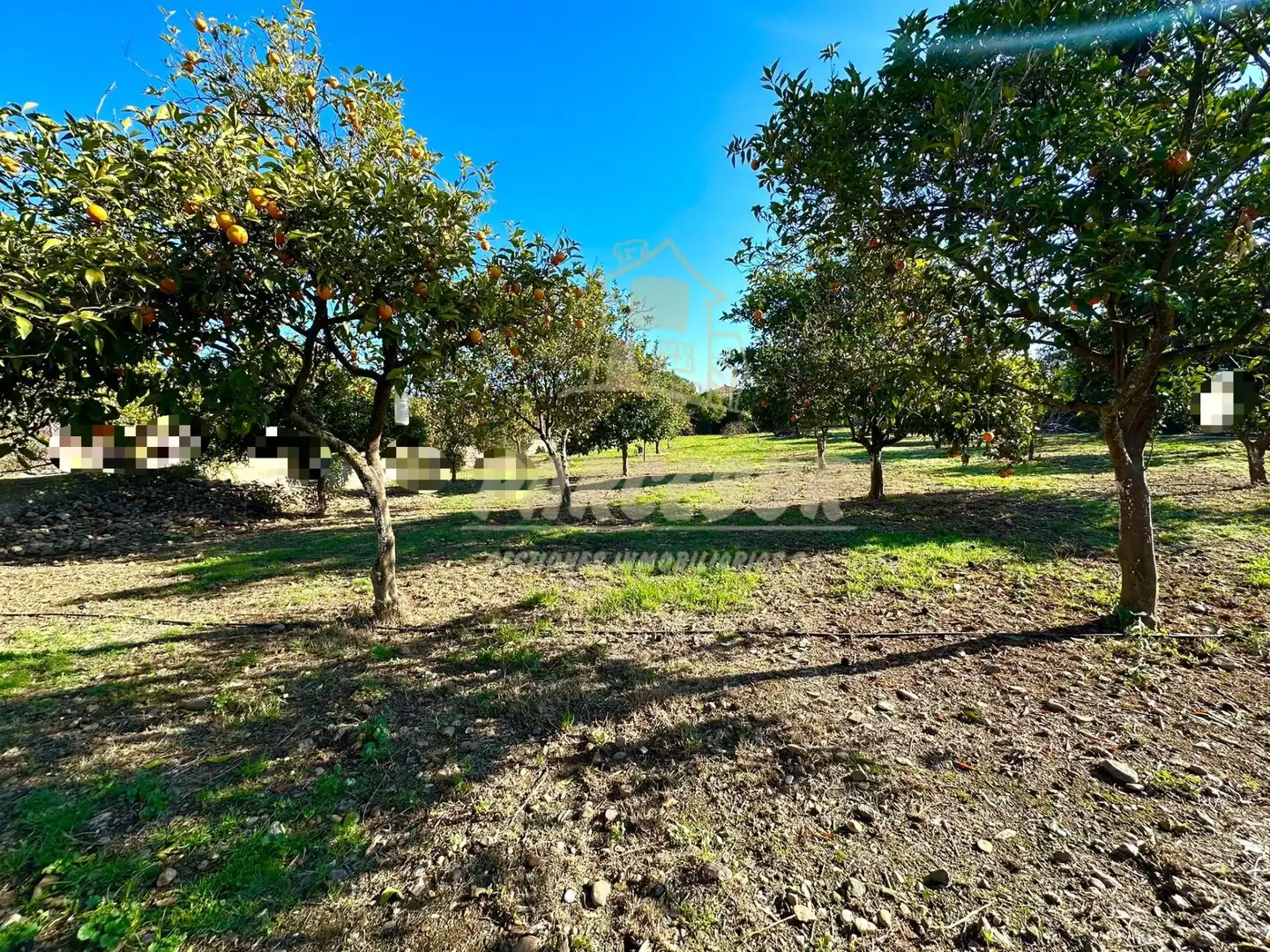 Terreny residencial en venda a Periurbano Oeste - Sierra, imagen 3