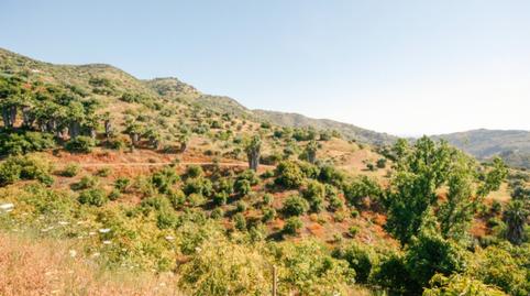 Foto 5 de Casa o xalet en venda a N/a, Monda, Málaga