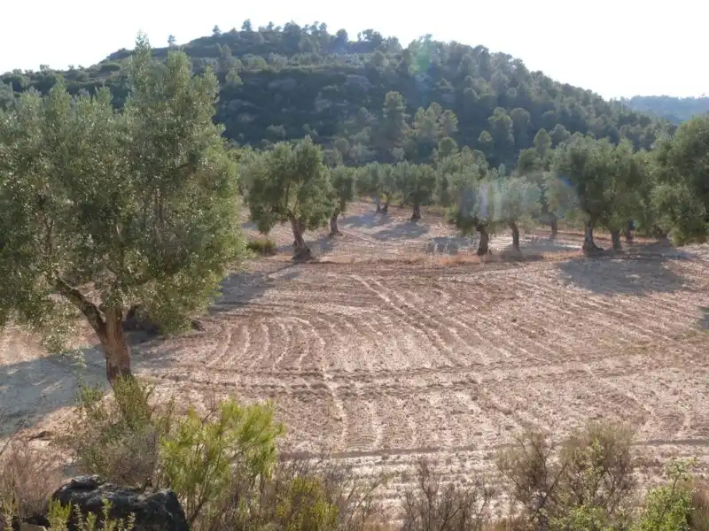 Finca rústica en venta en Calaceite