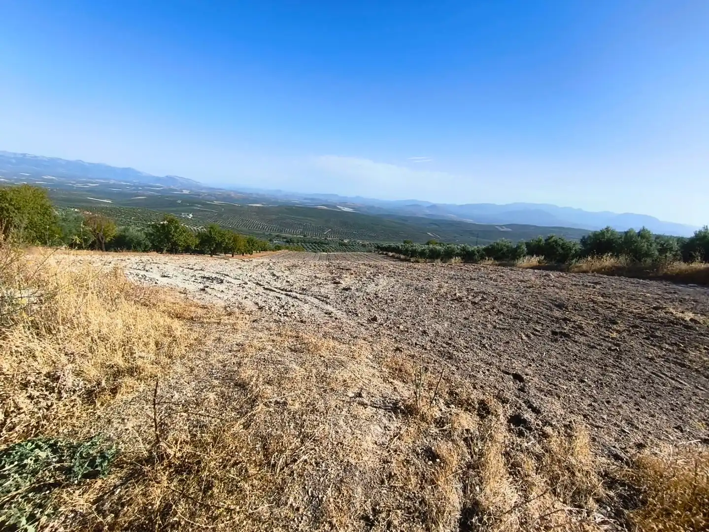 Terreni e lotti in vendita a Torreperogil