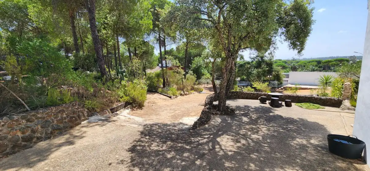 Jardín de Finca rústica en venta en Valverde del Camino