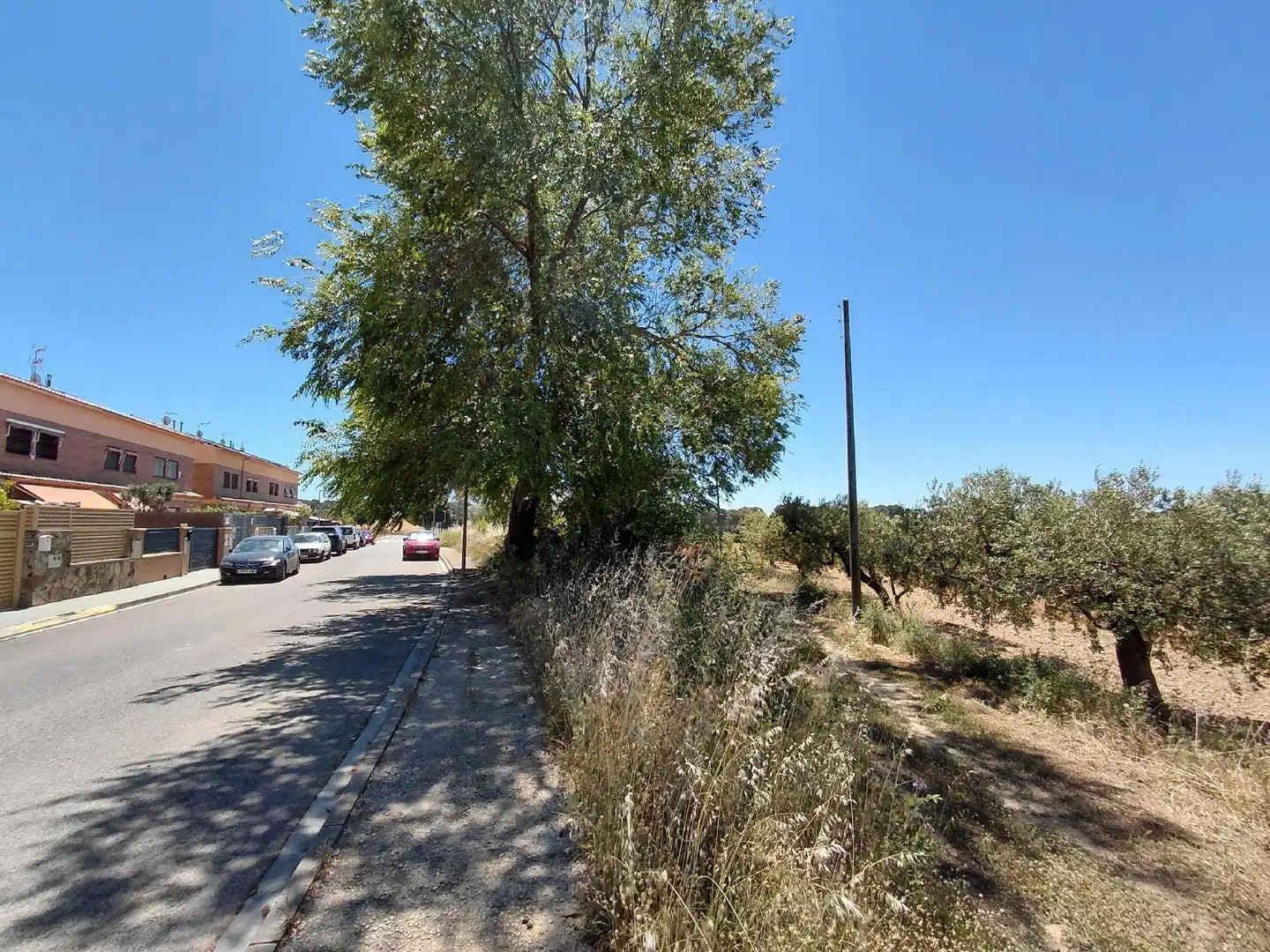 Lands and plots for sale in Banyeres del Penedès, imagen 13