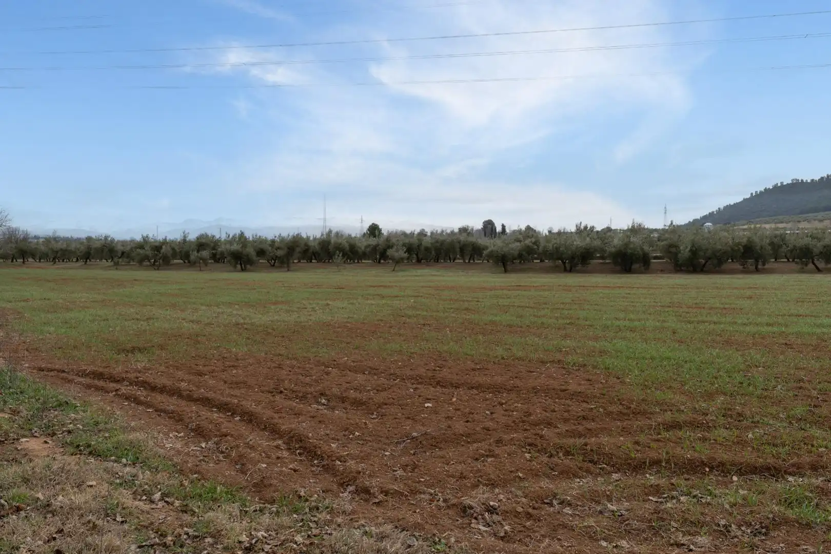 Terrenys i solars en venda a Polígono 23 Parcela 63 LA ZANJA. ALBOLOTE (GRANAD 23, imagen 40