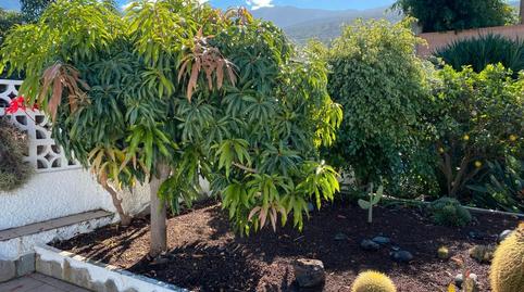 Foto 5 de Casa o xalet de lloguer a Calle Urb Corina, Centro, Santa Cruz de Tenerife