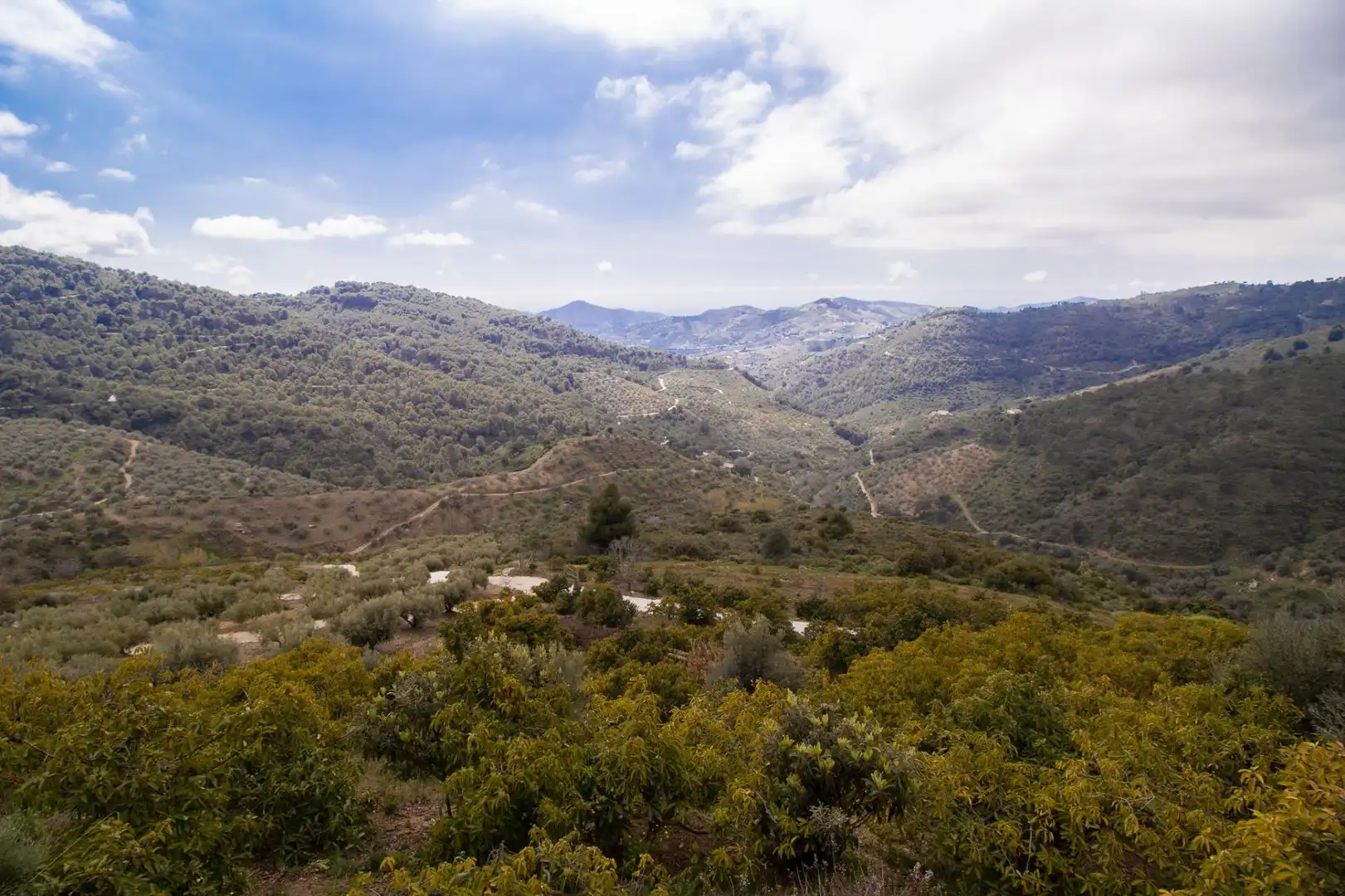 Vista exterior de Casa o xalet en venda en Canillas de Albaida
