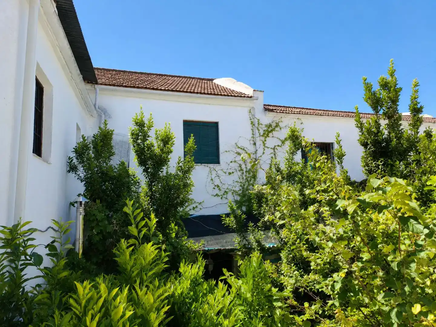 Vista exterior de Casa adosada en venda en Pinos Puente amb Balcó