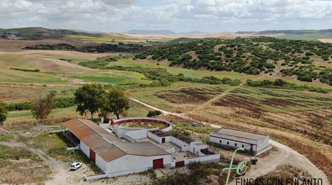 Foto 2 de Finca rústica en venda a Espera, Cádiz