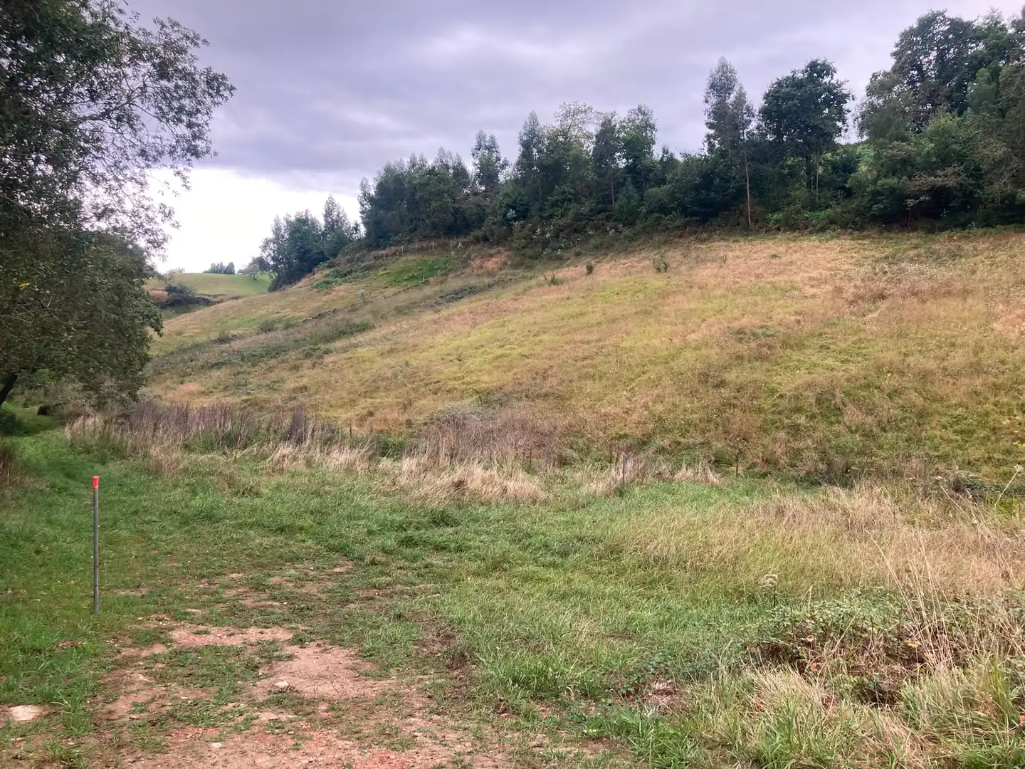 Terreno en venta en Villaviciosa