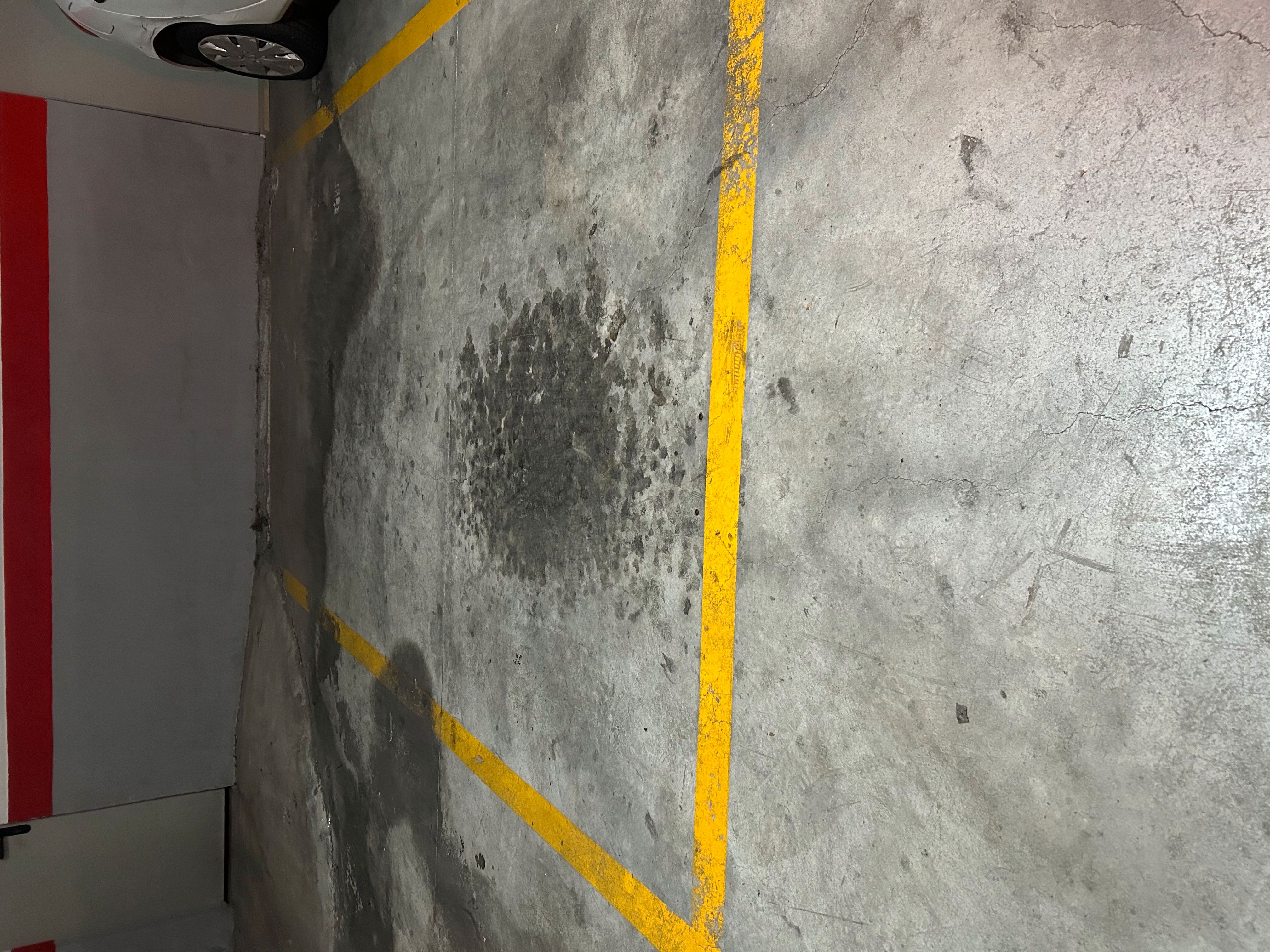 Parking of Garage to rent in  Palma de Mallorca