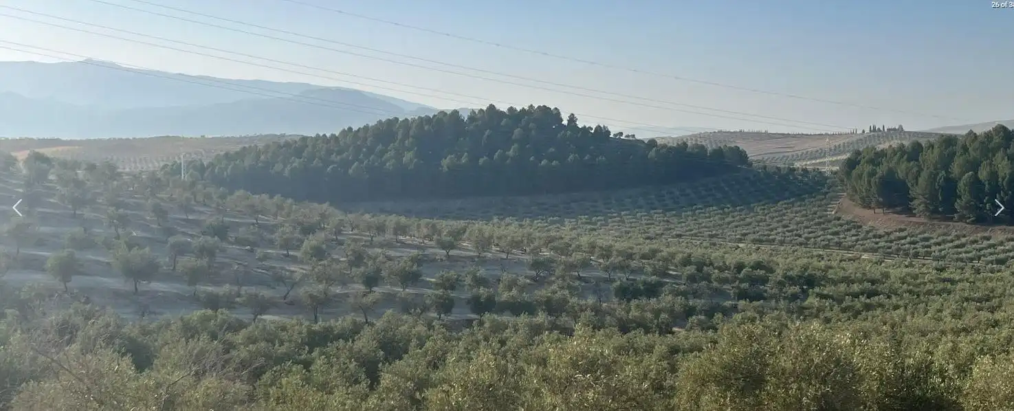 Finca rústica en venta en La Malahá