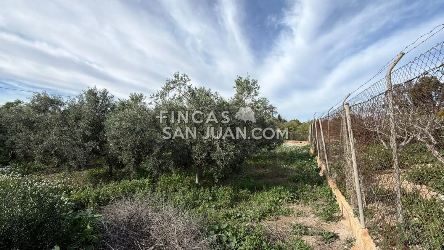 Finca rústica en venta en Centro