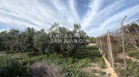 Photo 2 of Country house for sale in Centro, Mutxamel