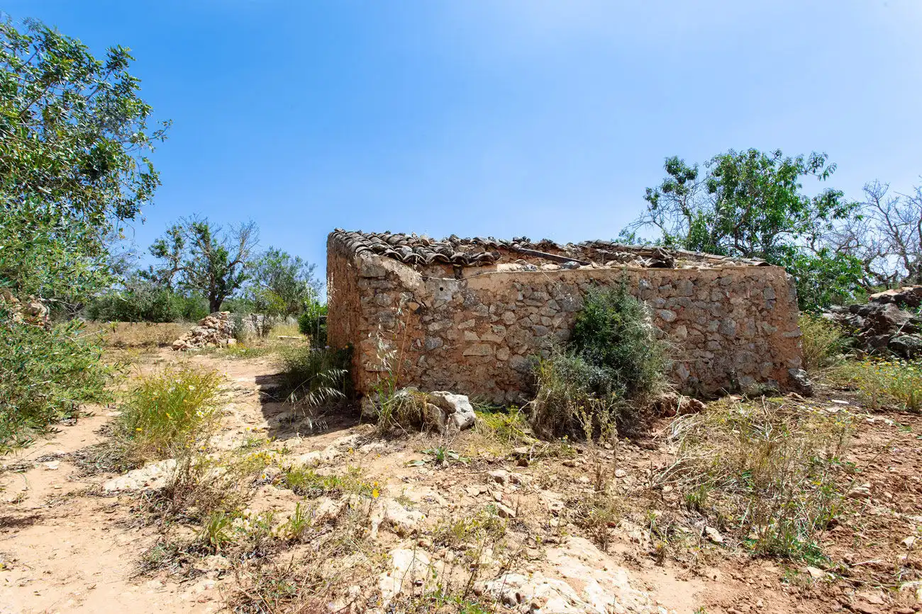 Terrenys i solars en venda a Felanitx Poble, imagen 11