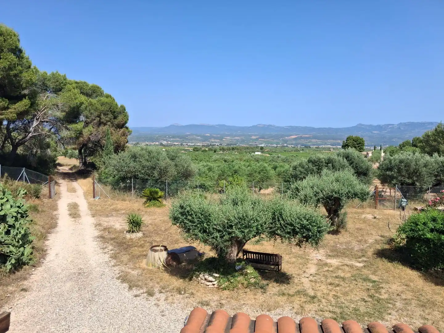 Finca rústica en venda en Móra d'Ebre