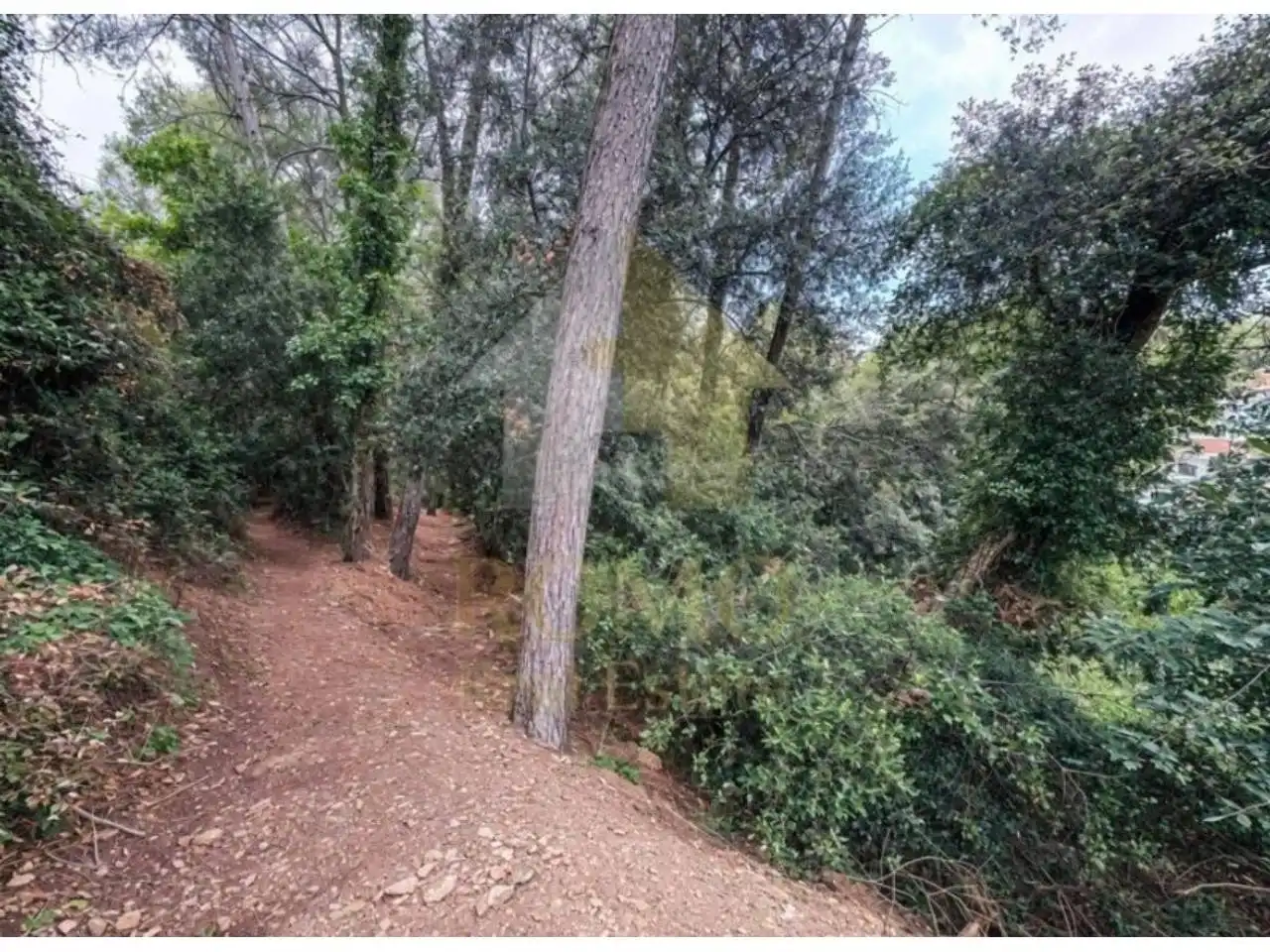 Terreno rustico in vendita a Ponent