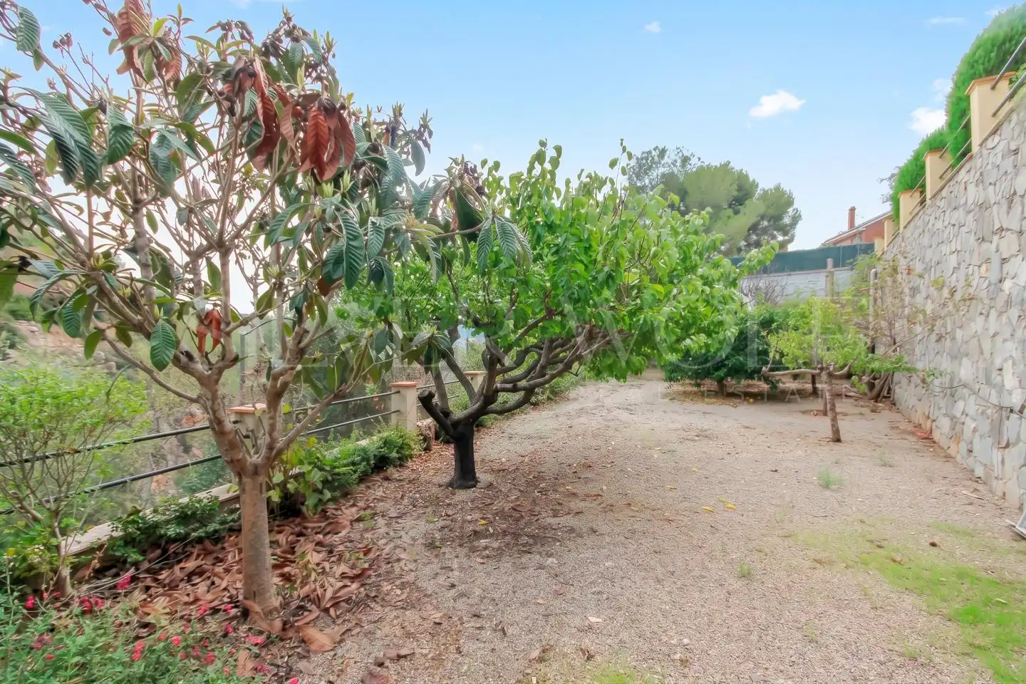 Jardín de Casa o chalet en venta en Vallirana, Barcelona