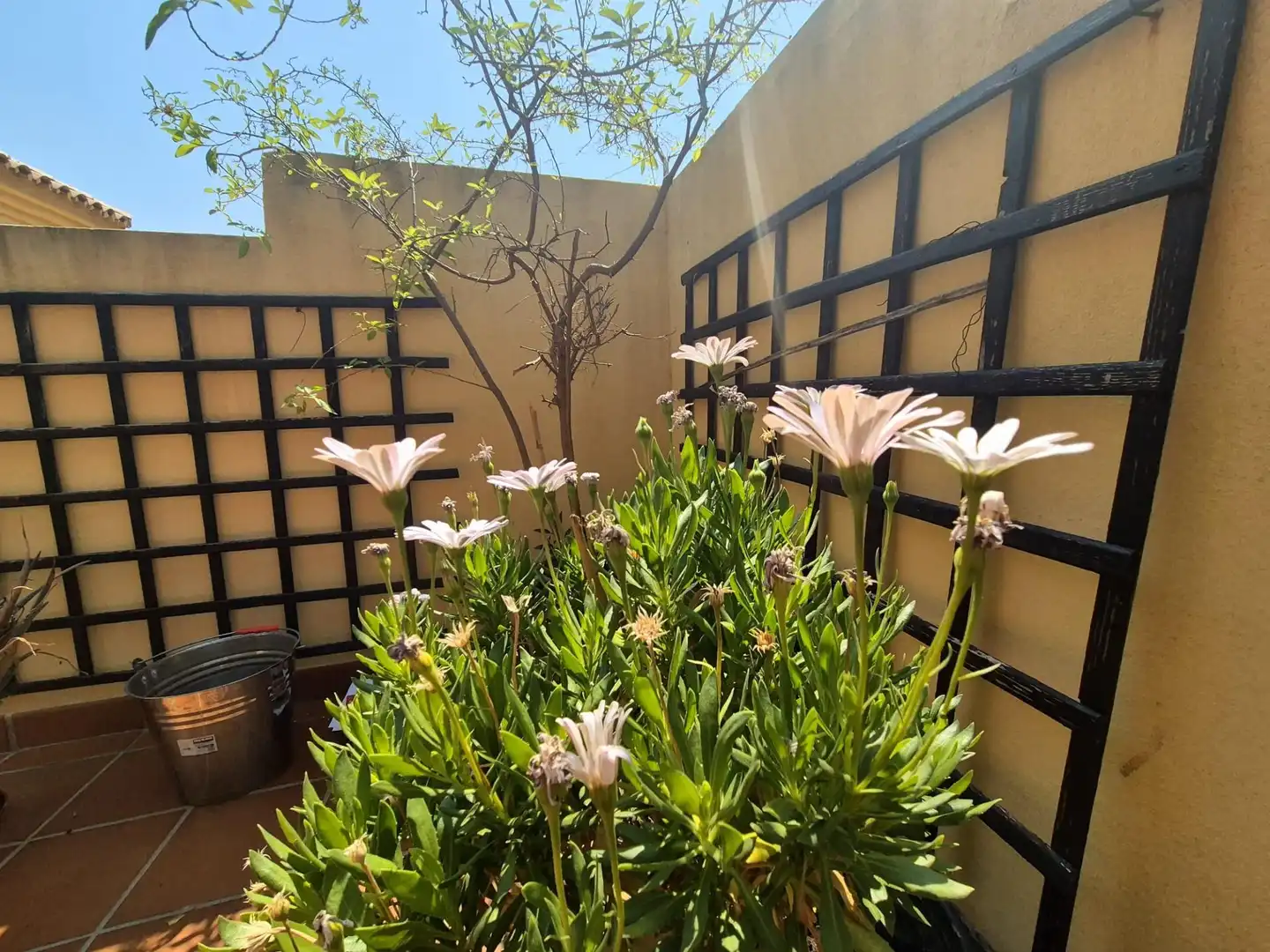 Terrassa de Àtic en venda en Mijas amb Jardí privat, Terrassa i Balcó