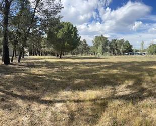 Finca rústica en venda en Viana de Cega amb Jardí privat i Piscina