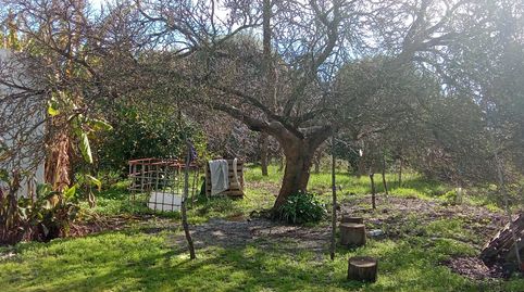 Foto 4 de Finca rústica en venda a Vejer, Vejer de la Frontera