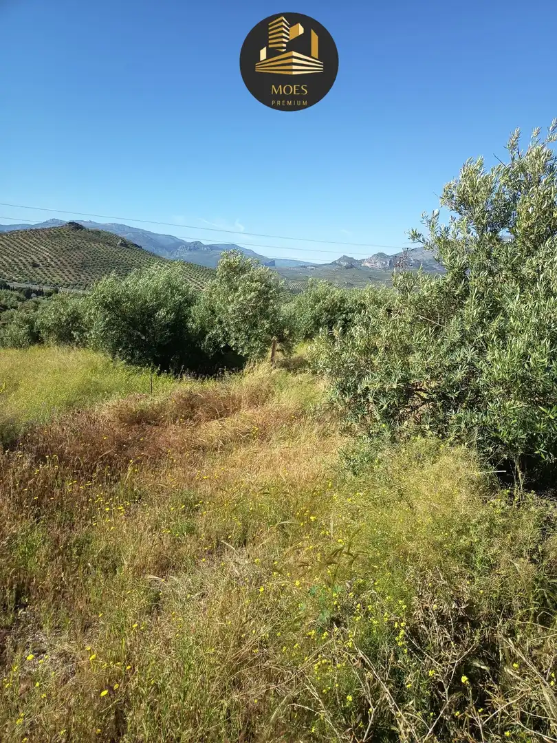 Country house for sale in Puente Tablas - Puente Nuevo - Cerro Molina, imagen 4