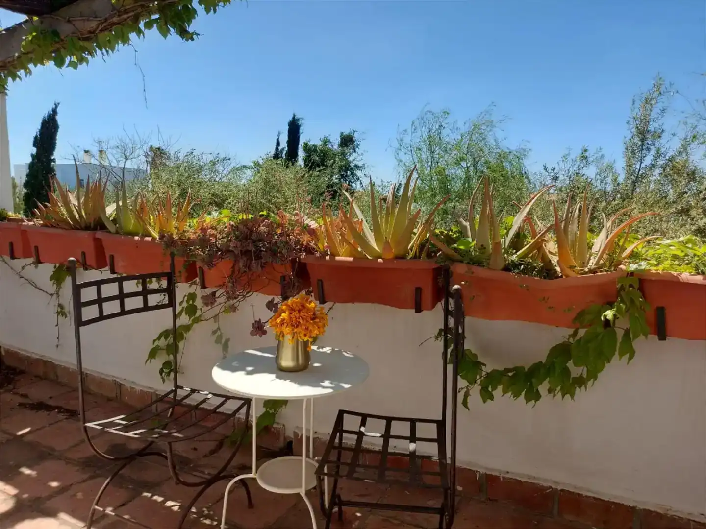 Terrace of Houses for rent in Barbate  with Private garden, Swimming Pool and Furnished