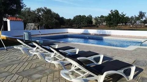 FINCA EN VENTA A 3 MINUTOS DE UTRERA  INVERSIÓN CON RENTABILIDAD INMEDIATA, imatge 4