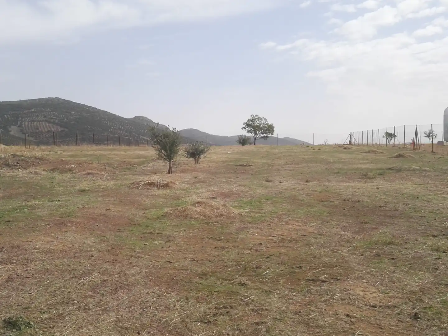 Finca rústica en venta en Hinojosas de Calatrava con Trastero