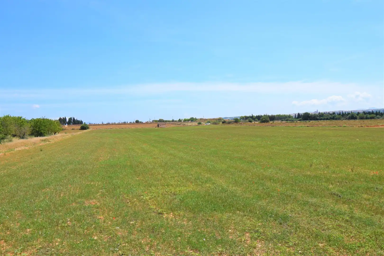 Finca rústica en venda a Llubí