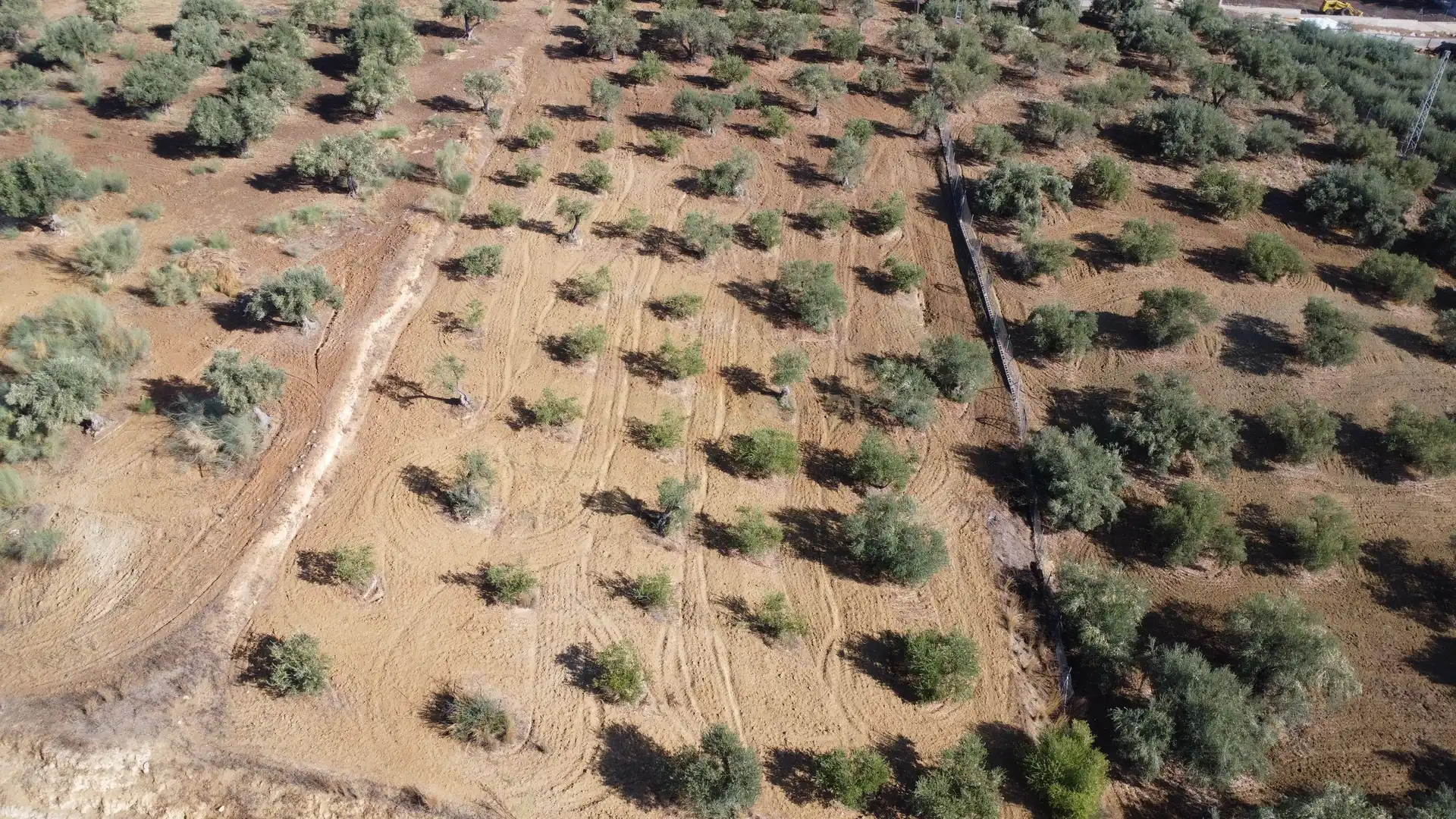 Rural land for sale in Camino la Ramita, Alhaurín de la Torre, Málaga, Spain, imagen 7
