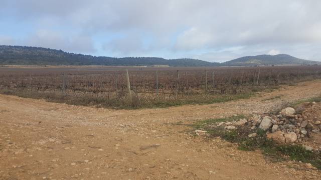 Terreno en Venta en Granátula de Calatrava