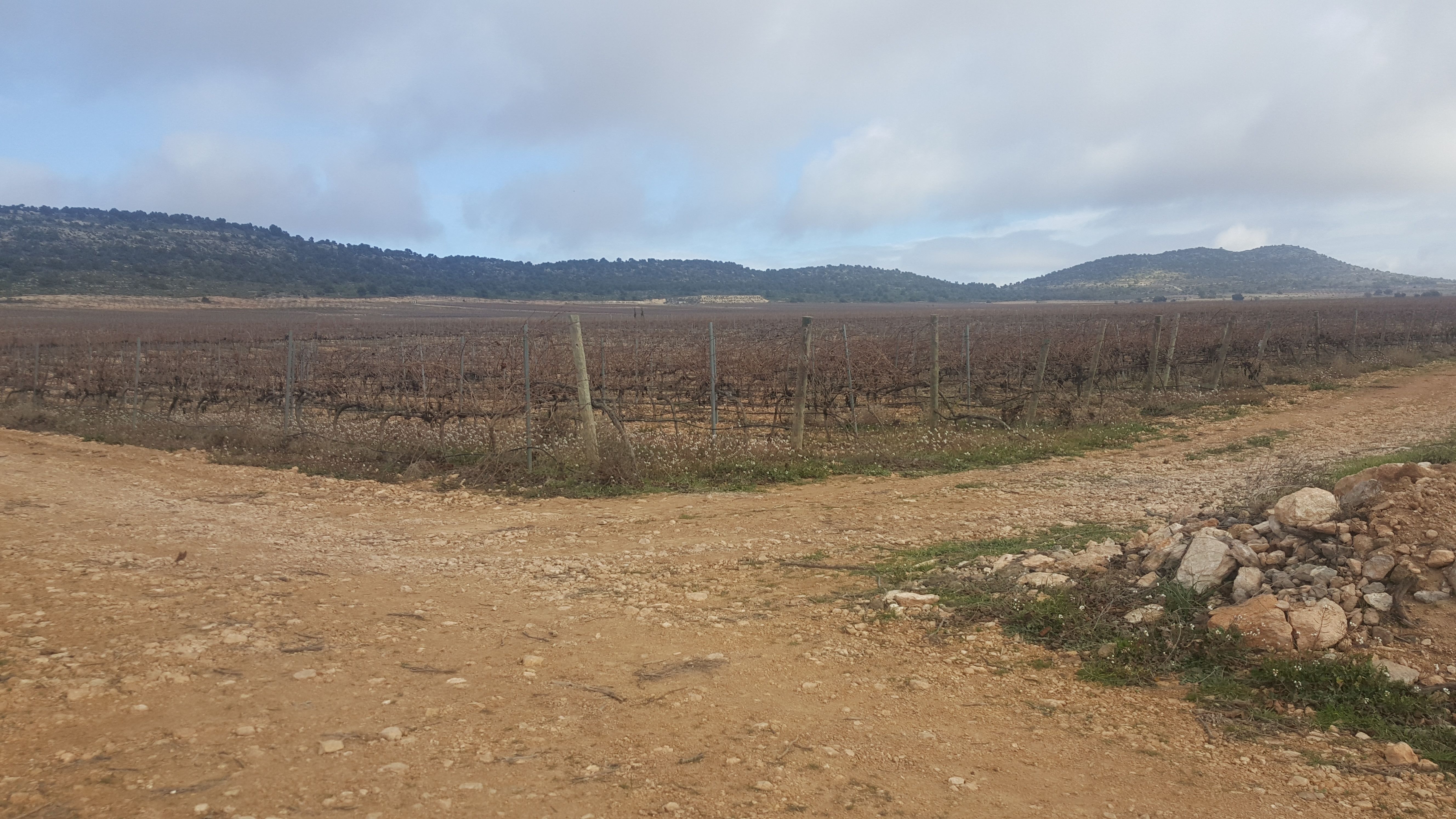Land for sale in Granátula de Calatrava