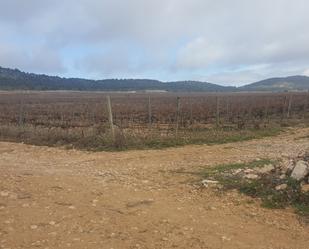 Terreny en venda en Granátula de Calatrava