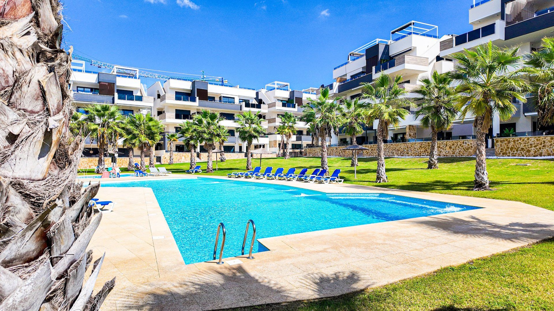 Swimming pool of Apartment for sale in Orihuela