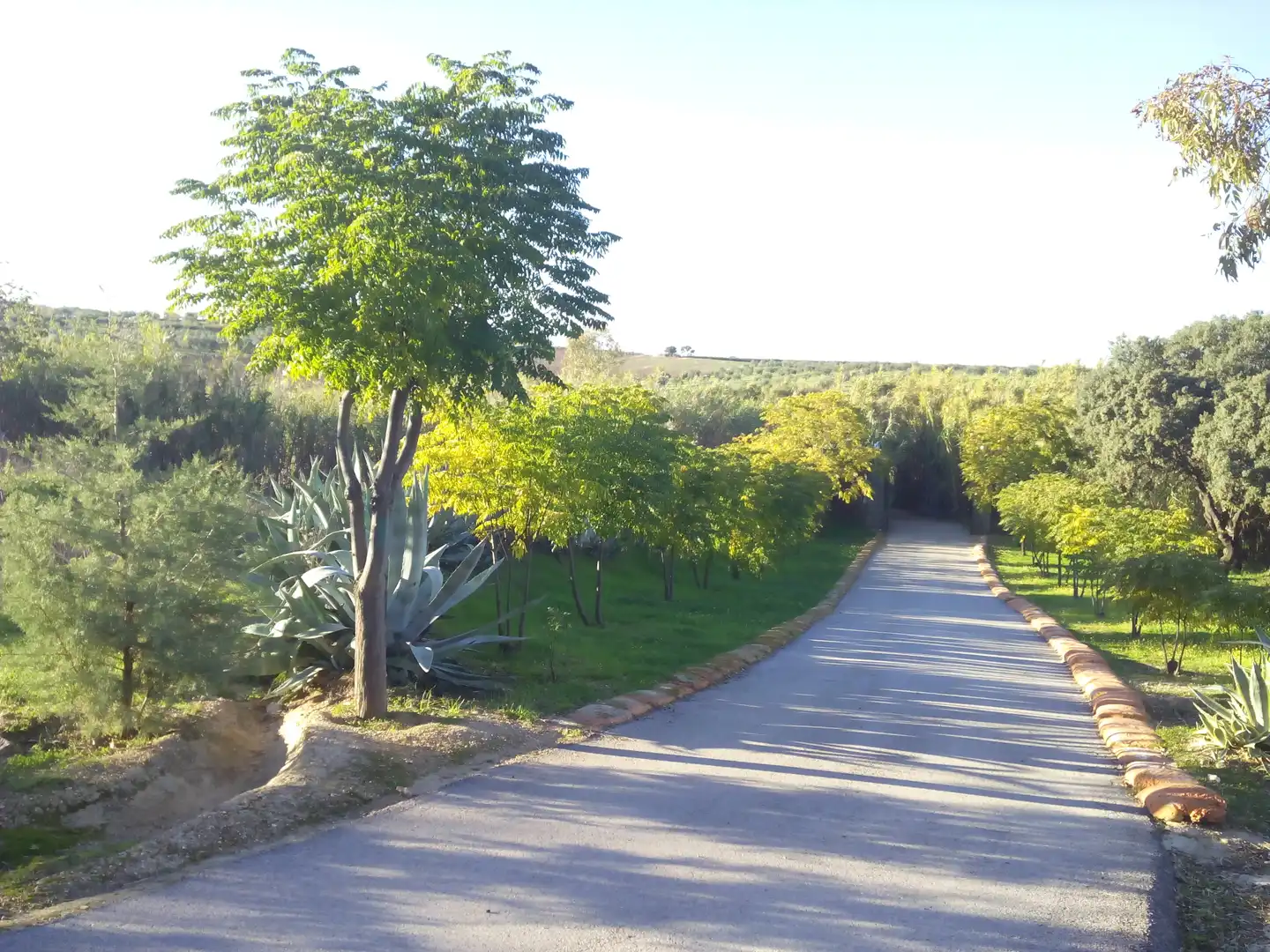 Xalet en venda a Villalba de los Barros, imagen 6