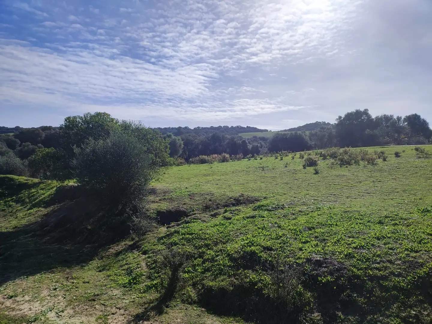 Haus oder Chalet zum Verkauf in Vejer de la Frontera mit Heizung, Privatgarten und Parkett