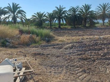 Terrenos y solares en venta en Cam. del Hondo