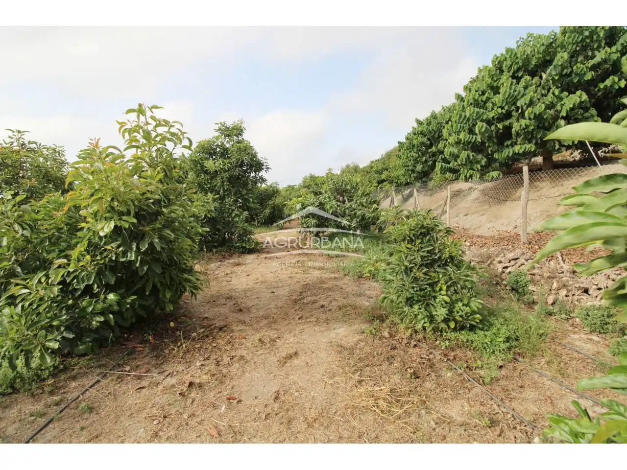 Country house with pool for sale in Poligono 29, imagen 27