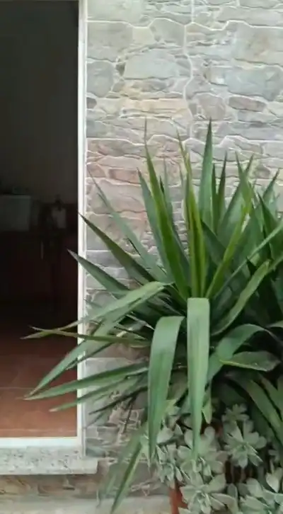 Jardí de Casa o xalet en venda en Montesa amb Aire condicionat, Terrassa i Traster