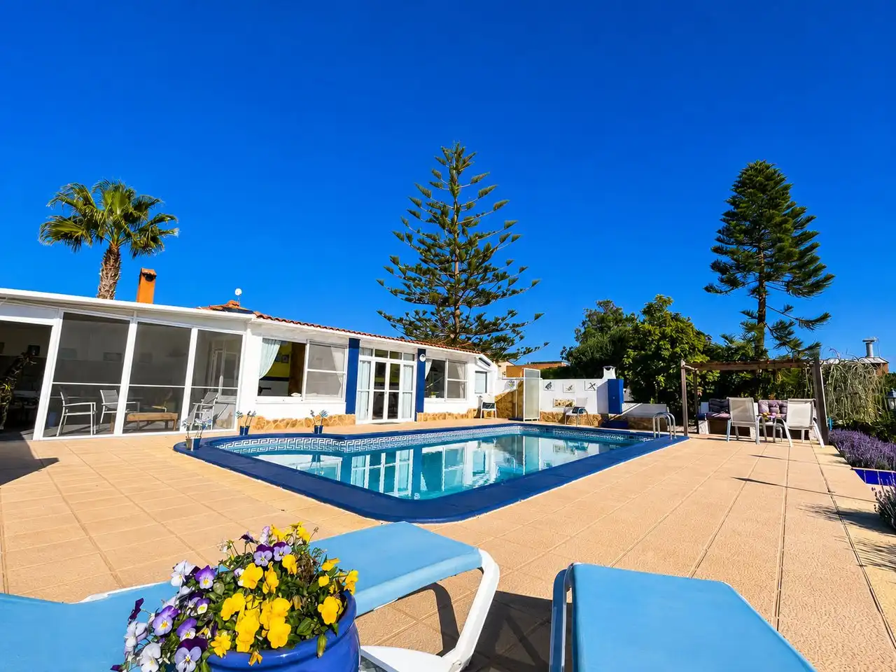 Swimming pool of Houses for sale in Torre-Pacheco