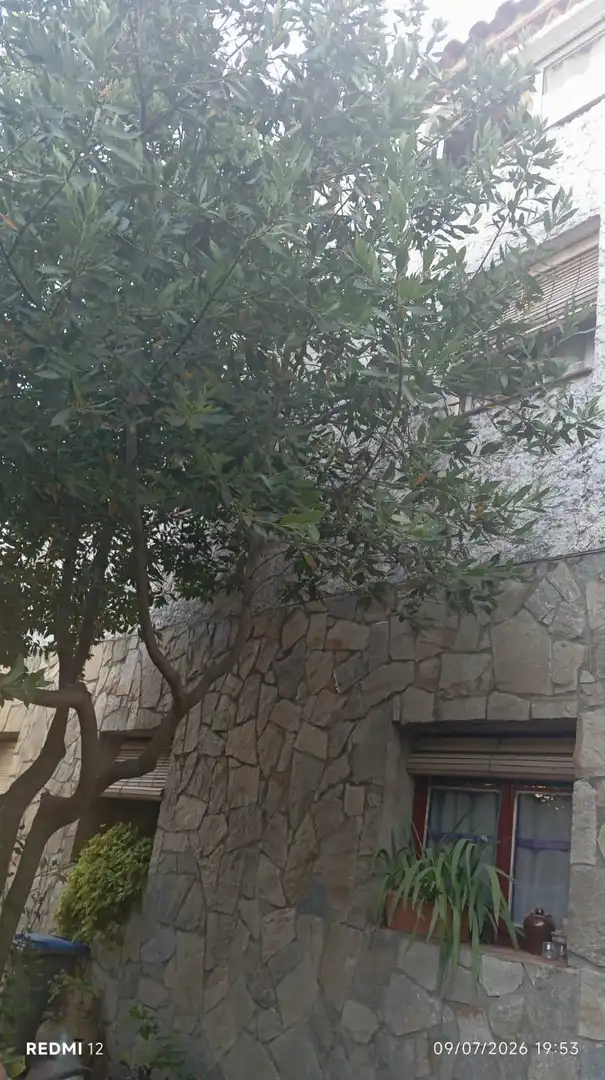 Villa avec terrasse à vendre à Corbera de Llobregat, imagen 6