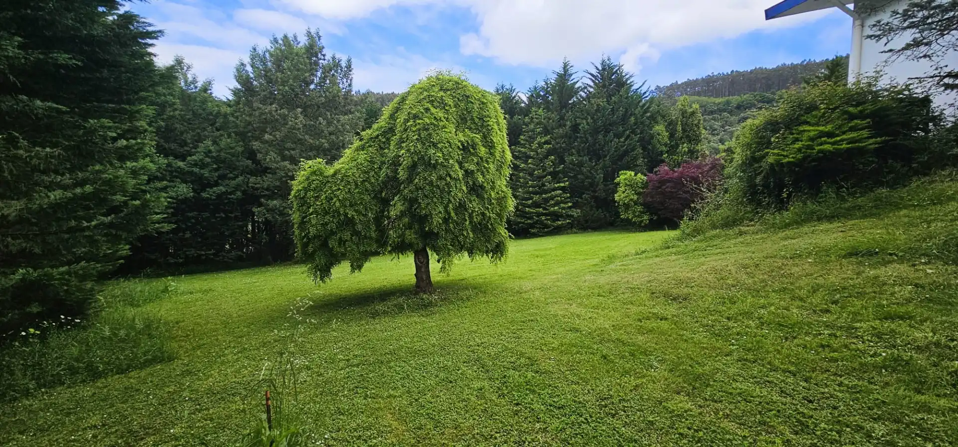 Jardí de Casa o xalet en venda en Plentzia amb Calefacció, Jardí privat i Parquet