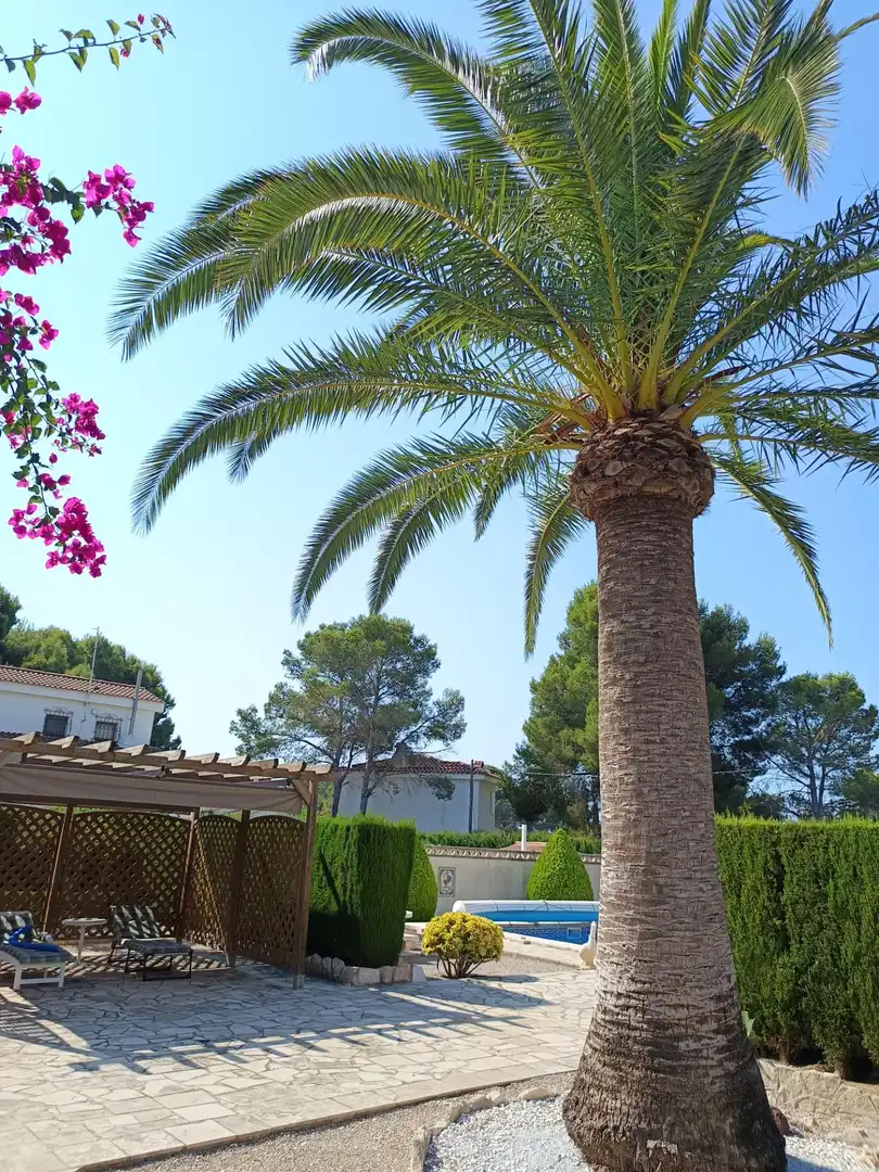 Maison avec piscine à vendre à Avenida MAR DE LA-3 CALES, imagen 28