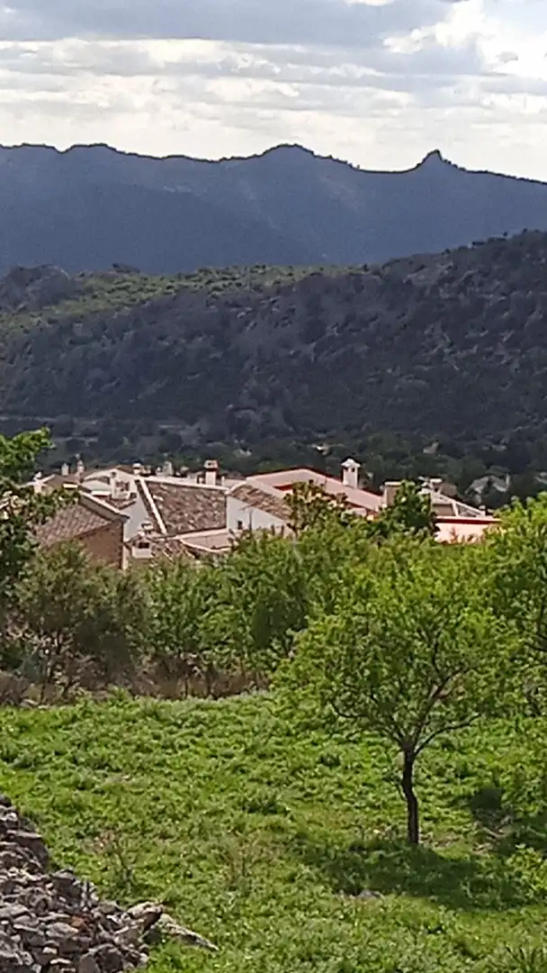 Terrain rustique à vendre à Benaocaz, imagen 7