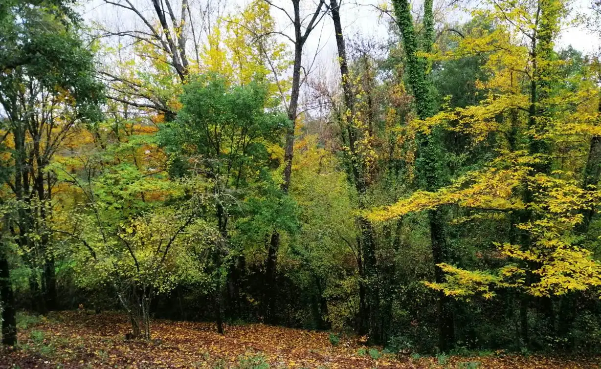 Finca rústica en venta en Galaroza con Calefacción, Jardín privado y Terraza