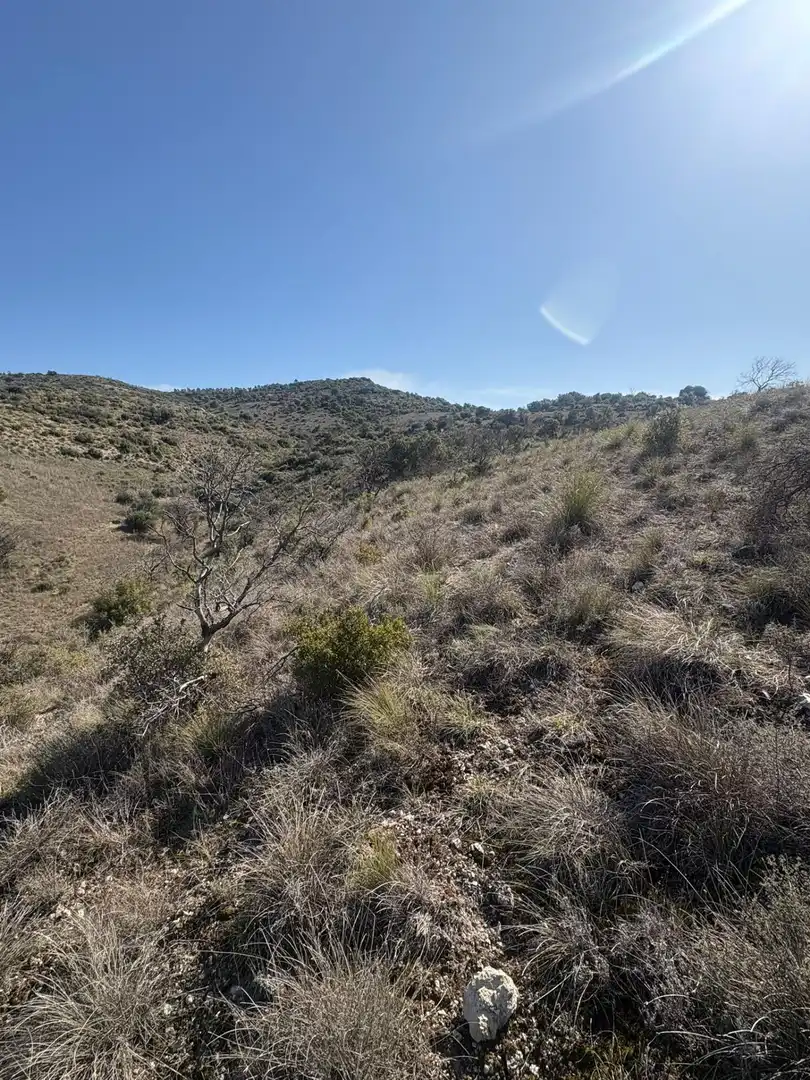 Terreno en venta en Carabaña