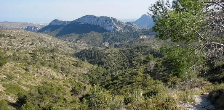 Rural land for sale in Partida la Falaguera, imagen 13